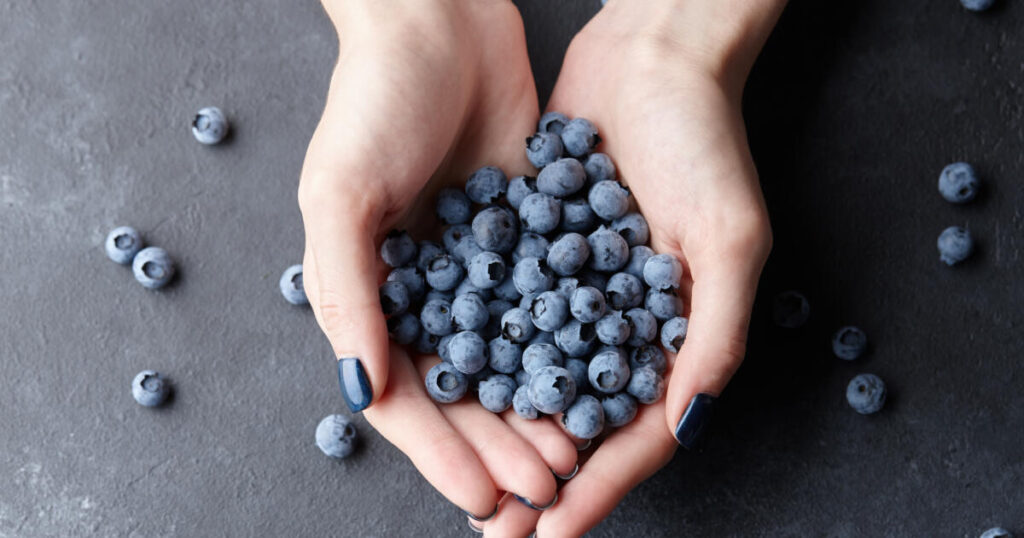 wellhealthorganic.com:blueberry-brain-boosting-benefits