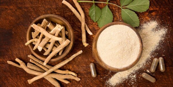 wellhealthorganic.com:benefits-of-ashwagandha-in-hindi