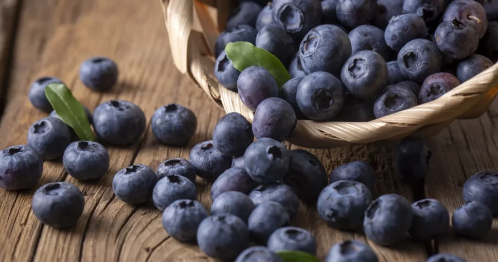 wellhealthorganic.com:blueberry-brain-boosting-benefits