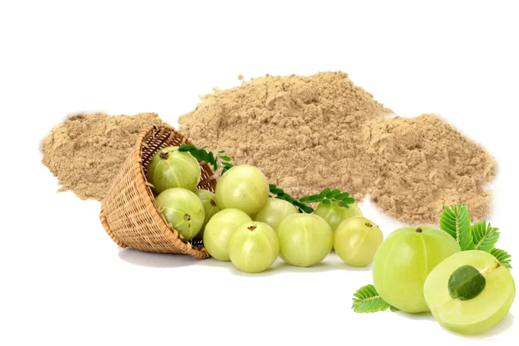 wellhealthorganic.com: amla-powder-uses-for-hair-and-others