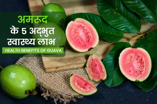 wellhealthorganic.com: 5-amazing-health-benefits-of-guava