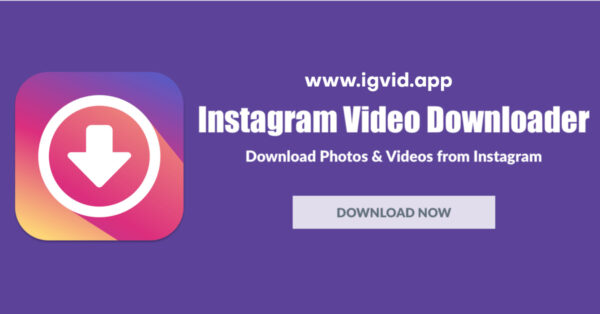 Instagram Video Downloader Story