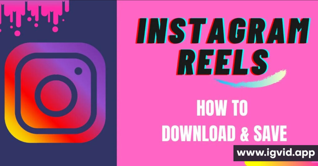 Instagram Video Downloader Story