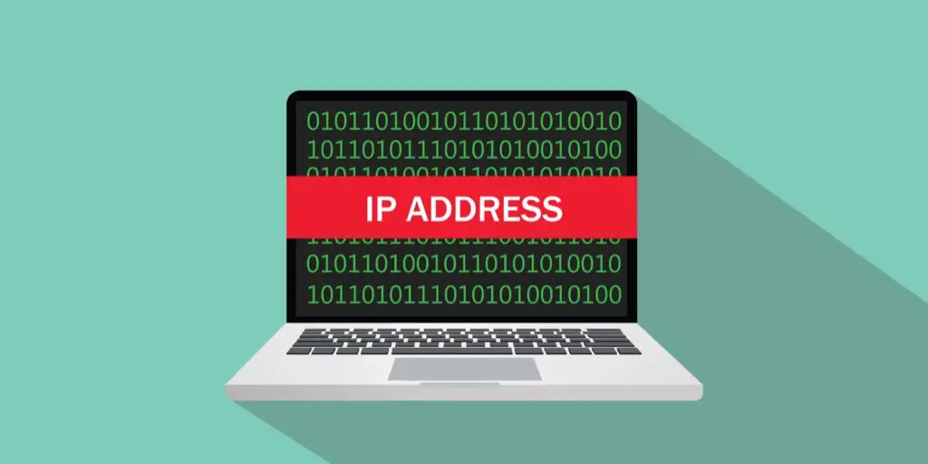 IP Addresses